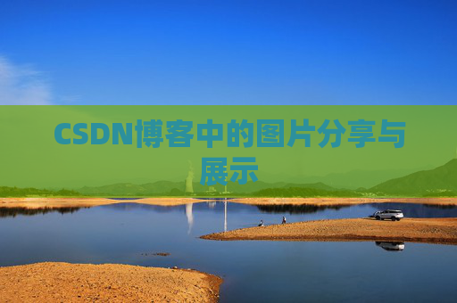 CSDN博客中的图片分享与展示